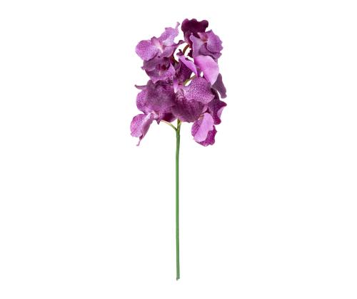 Orhidee FLOWERLY H60cm, mix