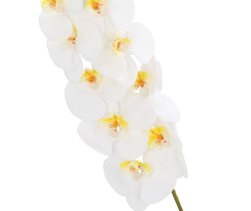 Orhidee IN GARDEN H92cm, valge phalaenopsis