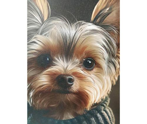 Seinapilt WALLY 50x50cm, väike koer