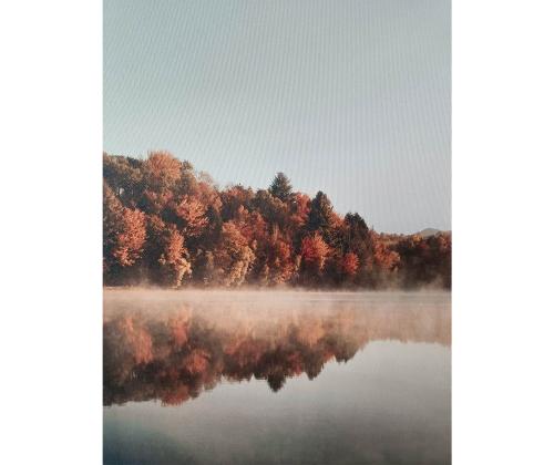 Seinapilt WALLY 60x80cm, maastik järve ääres