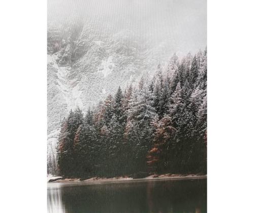 Seinapilt WALLY 60x80cm, lumine maastik