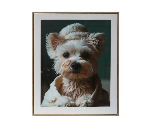 Seinapilt WALLY 40x50cm, kutsikas