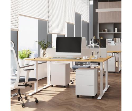 Töölaud ERGO FIT 1-motoriga 120x68xH71,5-116cm, valge