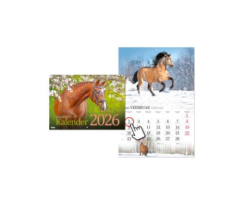 Seinakalender Hobusekalender 2911602000