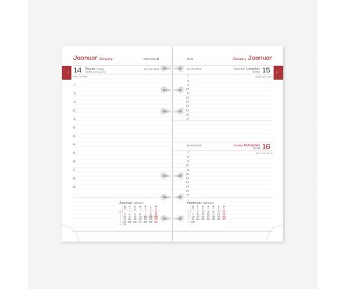 Kalendrisisu MIDI Timex Päev 2914302000