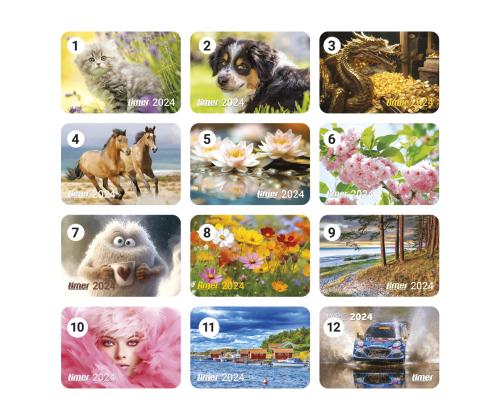 Taskukalender  291447000*