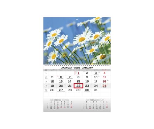 Seinakalender MONO eesti-inglise nr.31 2911050031