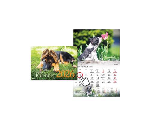 Seinakalender Koerakalender 2911601000