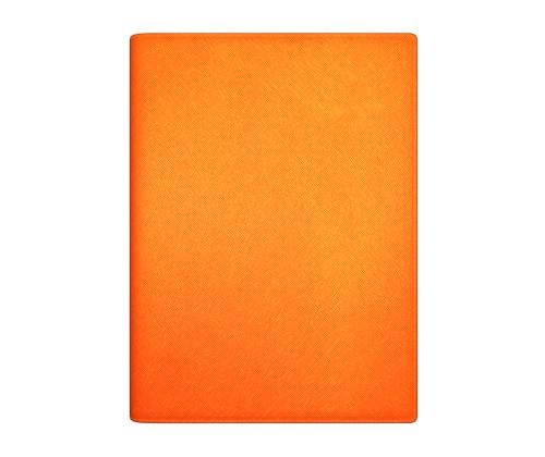 Raamatkalender SENATOR SpirEx Päev oranž 2911945013