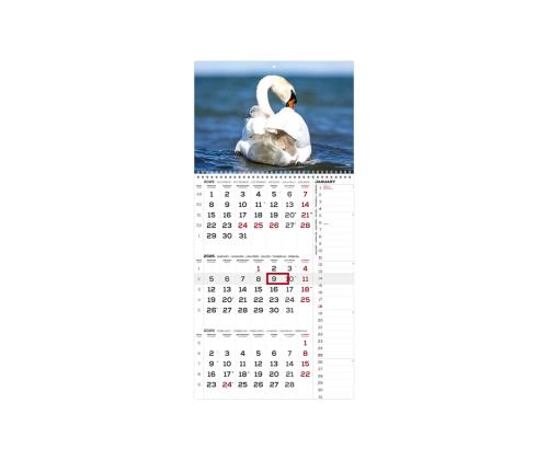 Seinakalender TRIO INTERNATIONAL nr.7 2911230007