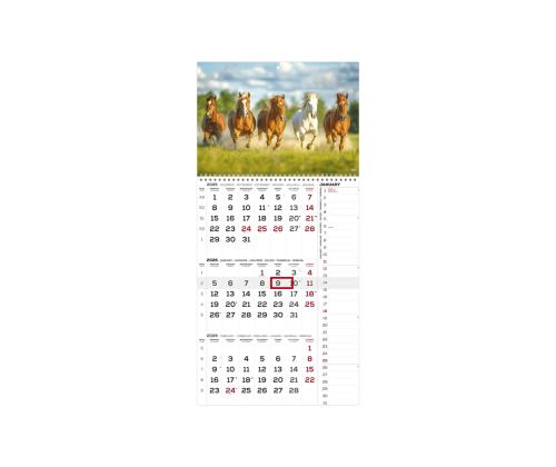 Seinakalender TRIO INTERNATIONAL nr.19 2911230019