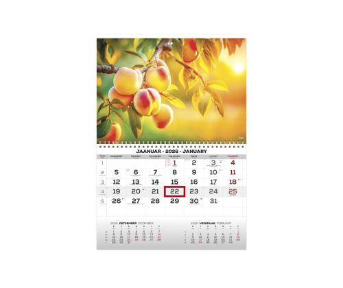 Seinakalender MONO eesti-inglise nr.30 2911050030