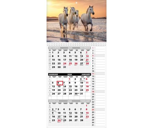 Seinakalender TRIO MEMO, avatud mõõt 297x630mm (PILT nr. 12) 00372/40324