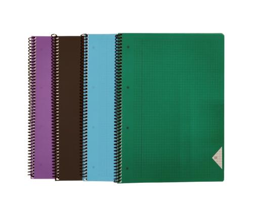 kaustik spiraalköites A4 BRADLEY ruuduline plastkaaned 60 lehte