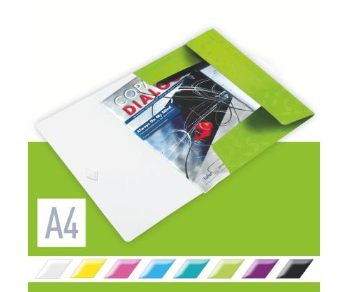 Plastmapp A4 kummiga LEITZ WOW roheline
