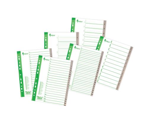 Registri vahelehed A4 12-1 hall plast FORPUS