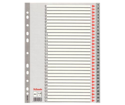 Registri vahelehed Esselte A4 1-31 hall plast