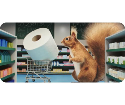 Tualettpaber 3-kihiline SERLA Orava 8rl, kollane