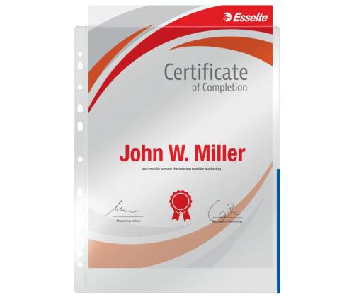 Signaaltasku köidetav A4 ESSELTE 105mic sinine 100 tk