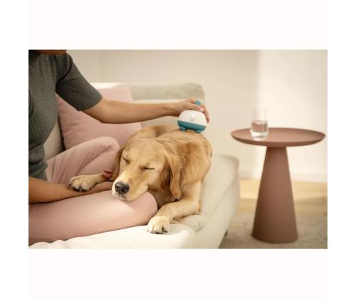 Beurer PP 410 „Buddy“, valge/roheline - Lemmikloomade massaažiseade