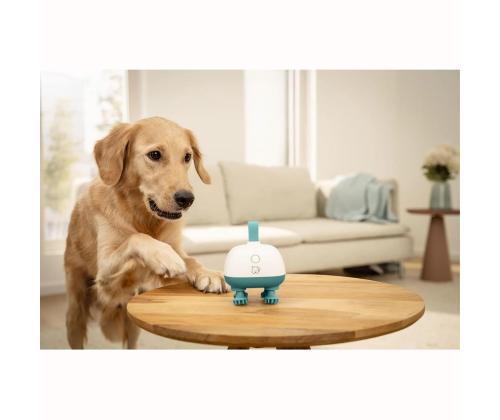 Beurer PP 410 „Buddy“, valge/roheline - Lemmikloomade massaažiseade