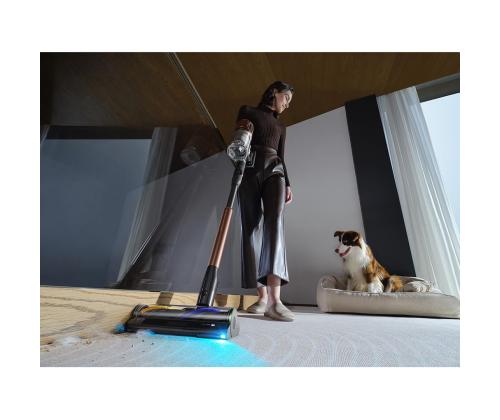 Dreame V30 Essential, pronks - Varstolmuimeja