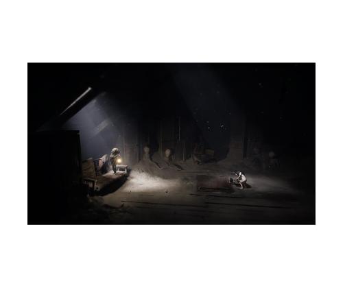 Reanimal, Nintendo Switch 2 - Mäng