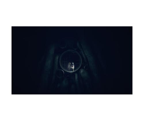 Reanimal, Nintendo Switch 2 - Mäng