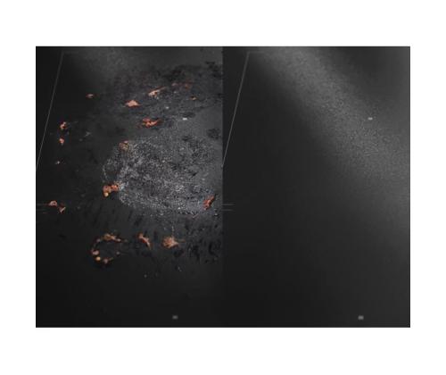 Electrolux Matt Care, 500 ml - Pliidiplaadi puhastusvahend