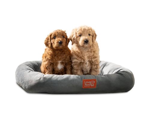 Beurer Kira, hall - Soojendusega lemmikloomavoodi