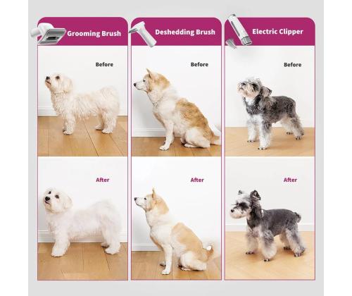 Petkit FurWaker 5-ühes (AirClipper), vaakumfunktsioon, valge/hall - Lemmikloomade hoolduskomplekt