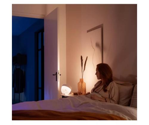 Philips Hue Iris, valge - LED lamp