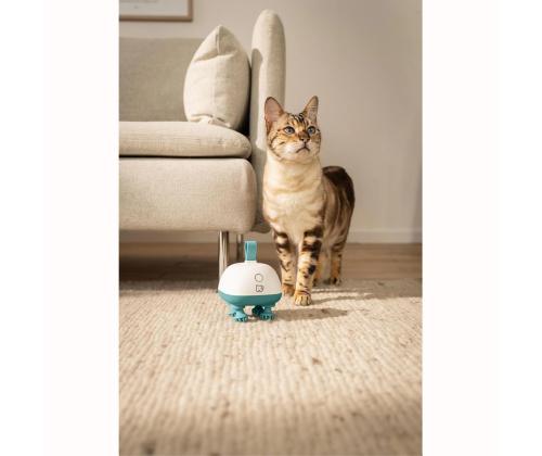 Beurer PP 410 „Buddy“, valge/roheline - Lemmikloomade massaažiseade