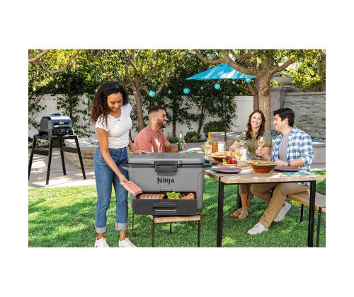 Ninja FrostVault, 47 L, hall - Autokülmik