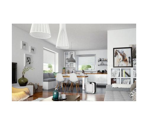 Õhuniisuti-puhasti, Boneco