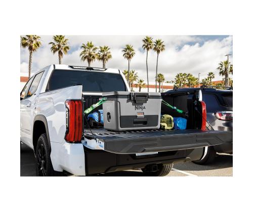 Ninja FrostVault, 47 L, hall - Autokülmik