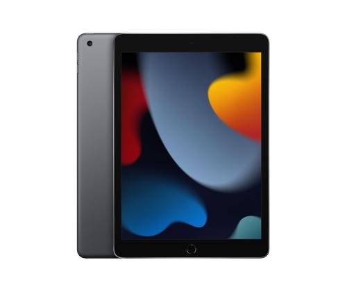 Apple iPad (2021), 10,2",  64 GB, WiFi, kosmosehall - Tahvelarvuti