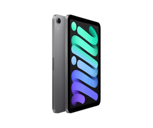 Apple iPad Mini (A17 Pro), 8,3'', 256 GB, WiFi, hall - Tahvelarvuti