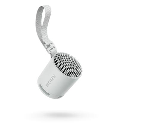 Sony SRS-XB100, helehall - Kaasaskantav juhtmevaba kõlar