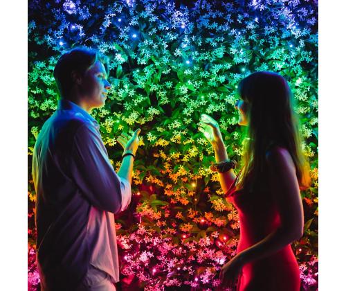 Twinkly Strings, 400 LED, IP44, 32 m, must - Nutikad jõulutuled