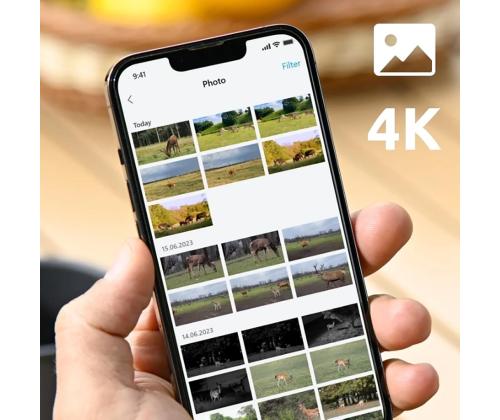 Reolink Go Ranger PT + Solar Panel 2, 8 MP, 4G LTE, akutoide, öörežiim - Rajakaamera koos päiksepaneeliga