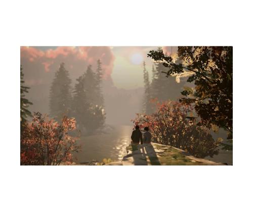 Life is Strange 2, Nintendo Switch - Mäng