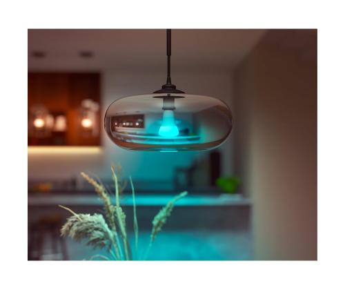Philips Hue White and Color 1600, E27, valge - Nutivalgusti