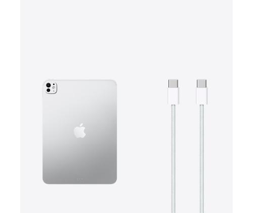 Apple iPad Pro 11", M5 (2025), 256 GB, WiFi, läikiv, hõbe - Tahvelarvuti