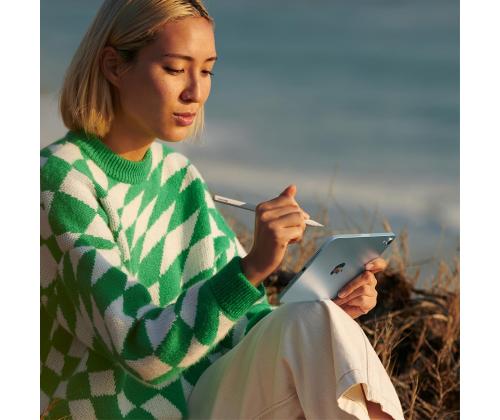 Apple iPad Mini (A17 Pro), 8,3'', 512 GB, WiFi + Cellular, hall - Tahvelarvuti