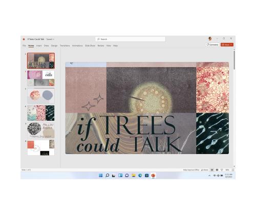 Microsoft 365 Personal, 12 kuu tellimus, 1 kasutaja / 5 seadet, 1 TB OneDrive, ENG - Tarkvara