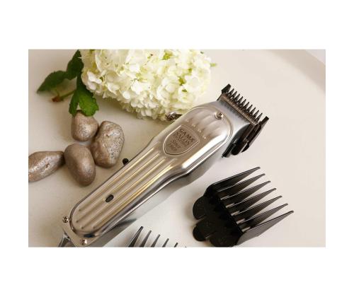 GA.MA CG Titanium, hõbedane - Juukselõikur