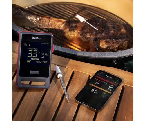 HerQs Pin PRO, must - Nutikas küpsetustermomeeter