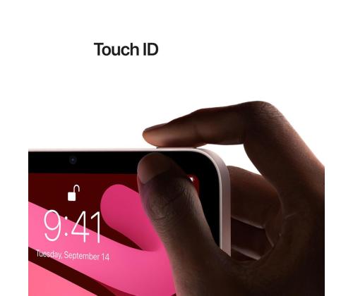 Apple iPad mini (2021), 8,3", 64 GB, WiFi + LTE, kosmosehall - Tahvelarvuti