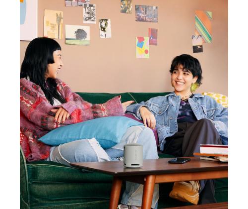 Sony SRS-XB100, helehall - Kaasaskantav juhtmevaba kõlar